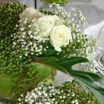 Weiße Rosen – Symbole für Reinheit, Treue und Unschuld.